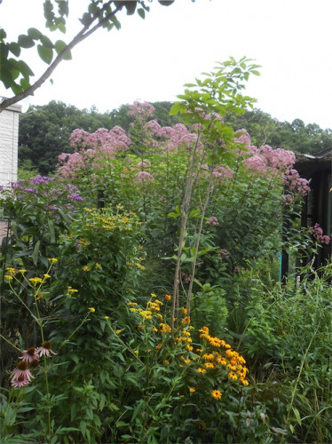 DSCN0225.jpg
