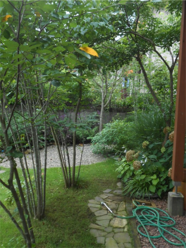 DSCN0228.jpg