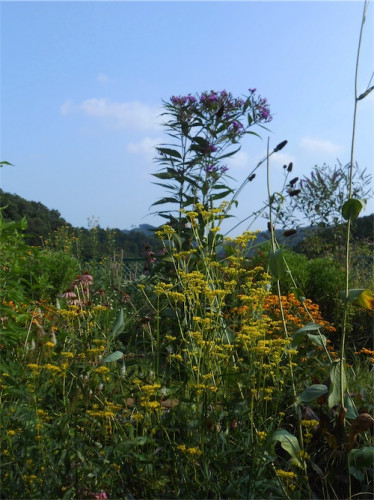 DSCN0239.jpg