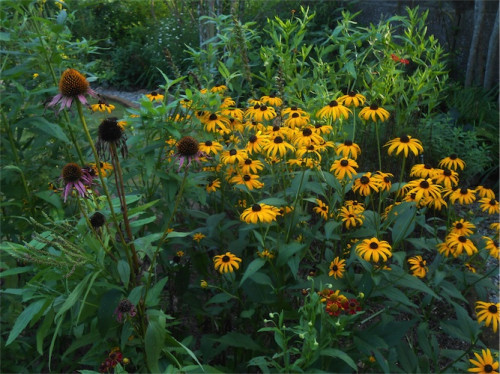 DSCN0244.jpg