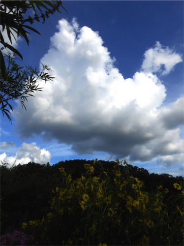 DSCN0288.jpg
