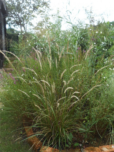 DSCN0295.jpg