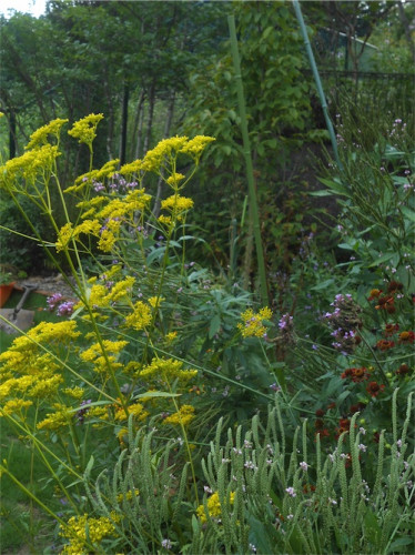 DSCN0297.jpg