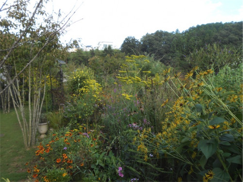 DSCN0302.jpg