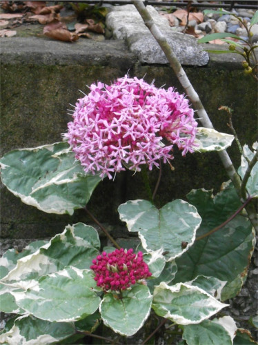 DSCN0314.jpg