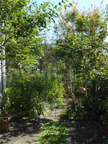 DSCN0338.jpg