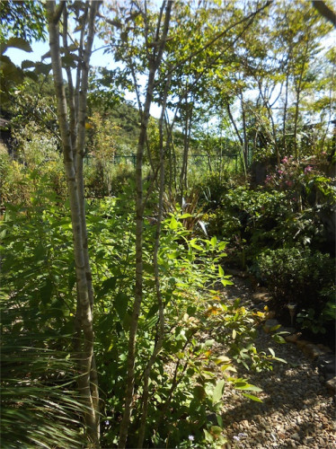 DSCN0340.jpg