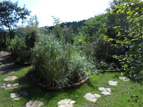 DSCN0347.jpg
