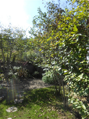 DSCN0348.jpg