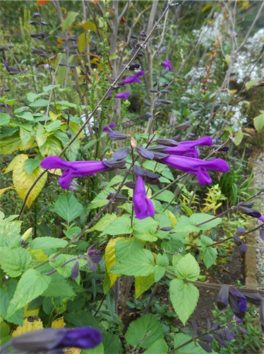 DSCN0357.jpg
