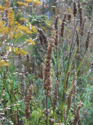 DSCN0378.jpg