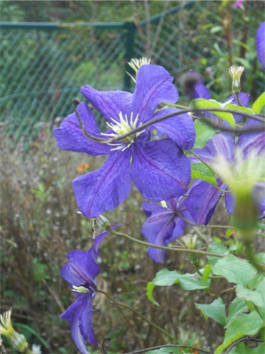 DSCN0380.jpg