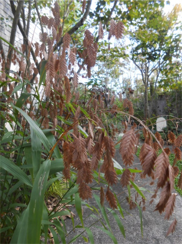DSCN0389.jpg