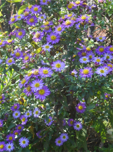 DSCN0398.jpg