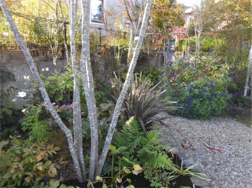 DSCN0410.jpg