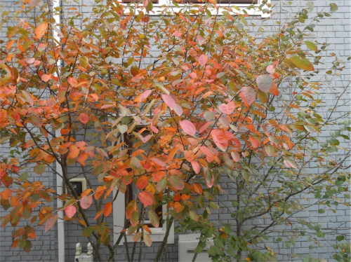 DSCN0417.jpg