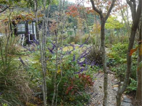 DSCN0421.jpg