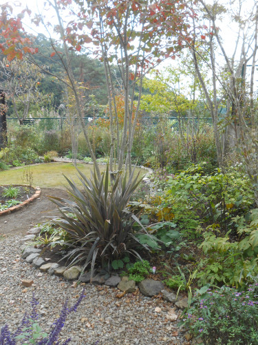 DSCN0422.JPG