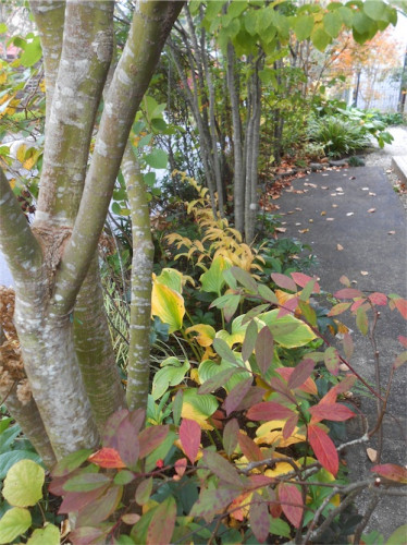 DSCN0430.jpg