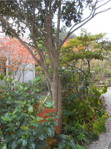 DSCN0435.jpg