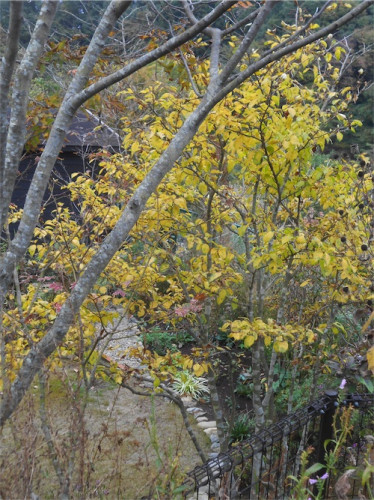 DSCN0438.jpg