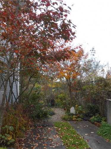DSCN0441.jpg