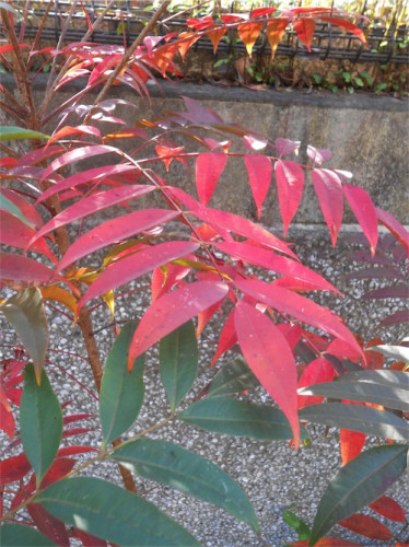 DSCN0450.jpg