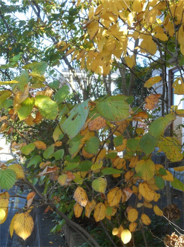 DSCN0456.jpg