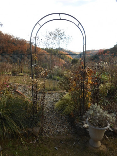 DSCN0473.jpg