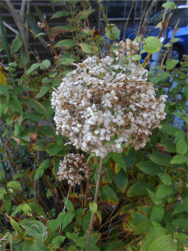 DSCN0463.jpg