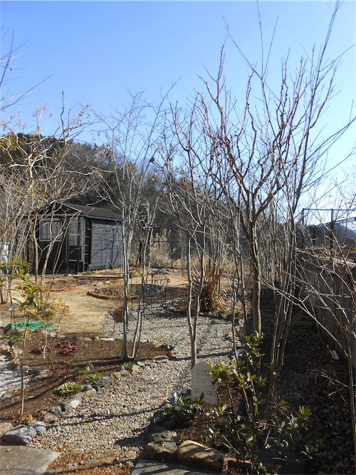 DSCN0497.jpg