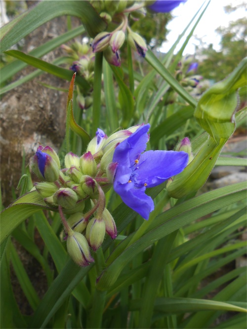 DSCN0735.jpg