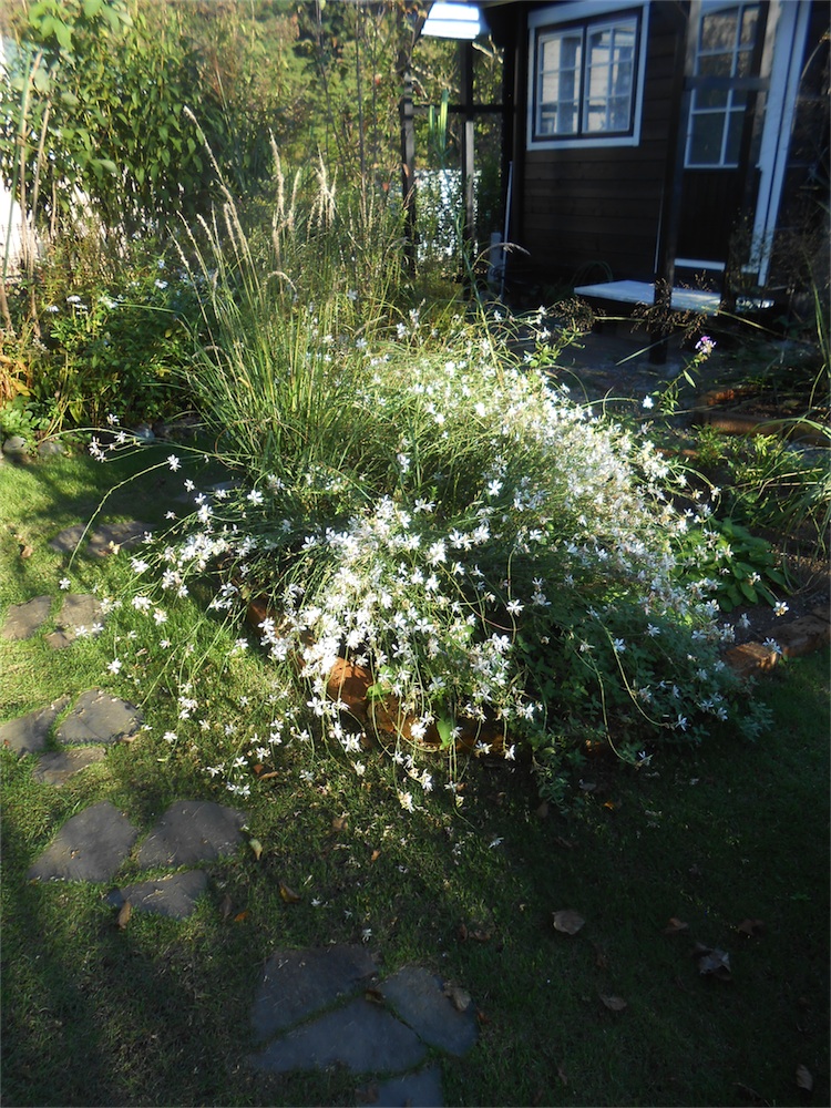 DSCN1389.jpg