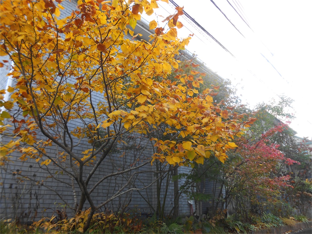 DSCN1431.jpg
