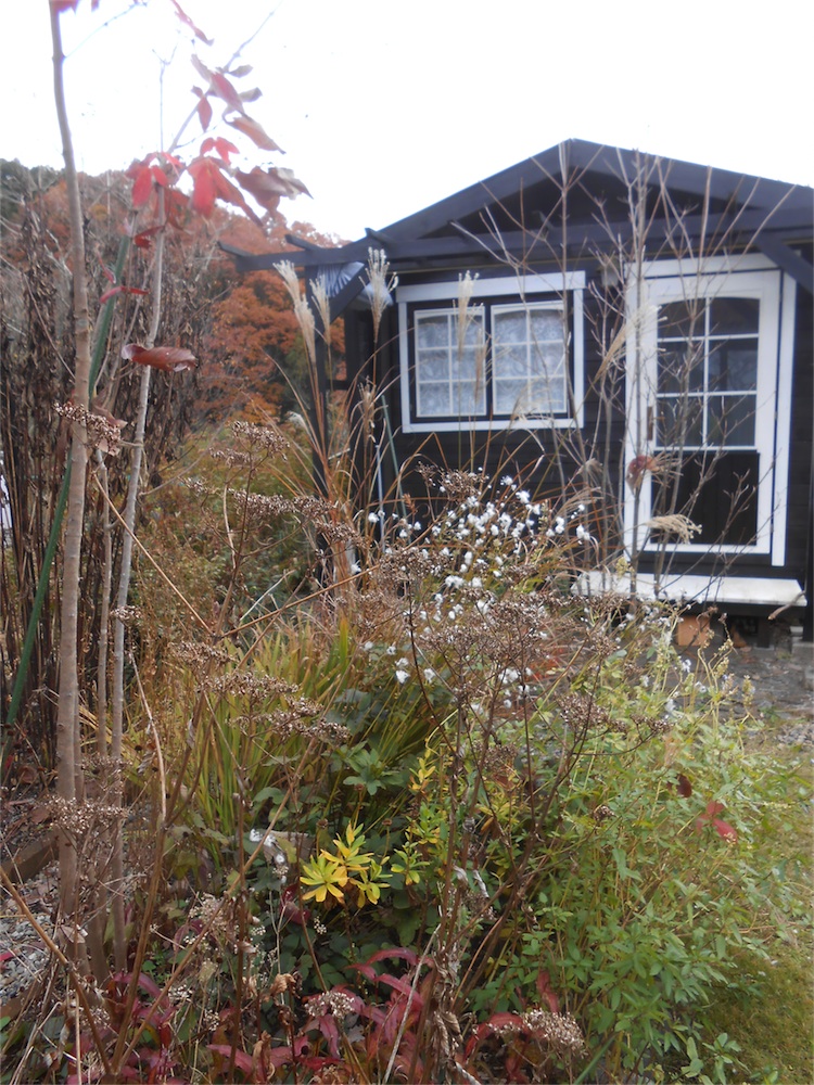 DSCN1446.jpg
