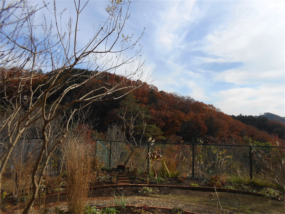 DSCN1453.jpg