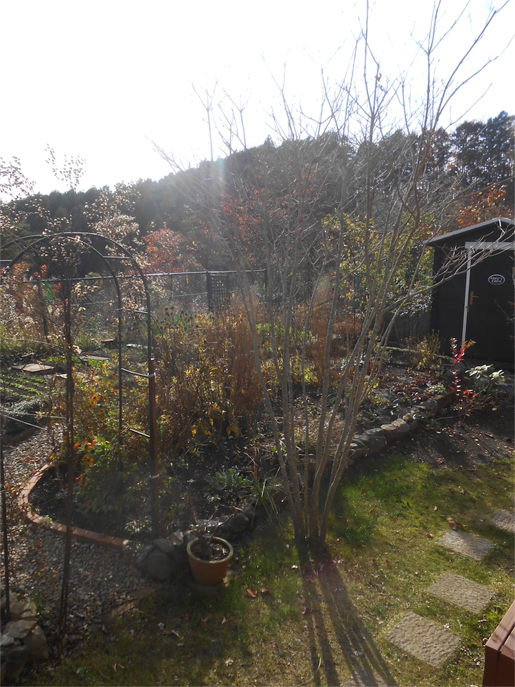 DSCN1454.jpg