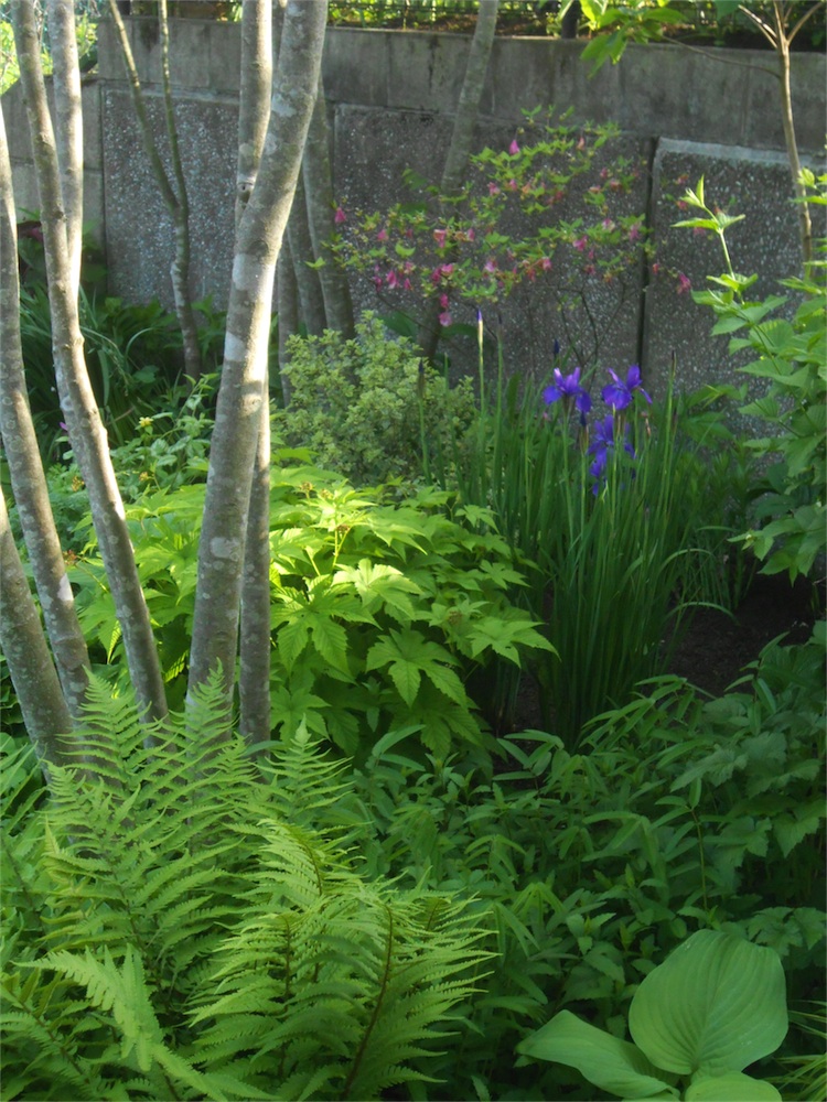 DSCN1717.jpg