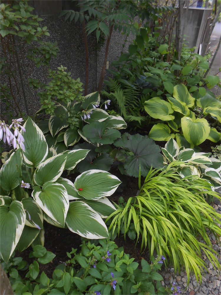 DSCN2059.jpg