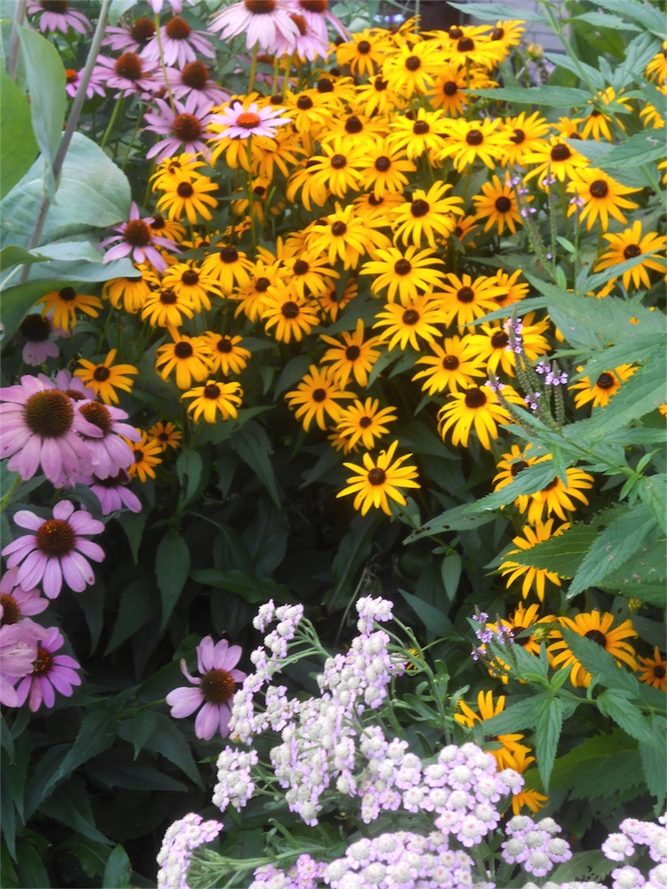 DSCN2121.jpg