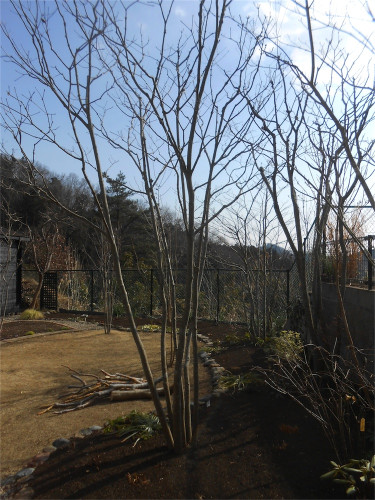 DSCN2356.jpg