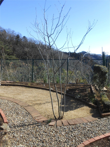 DSCN2358.jpg