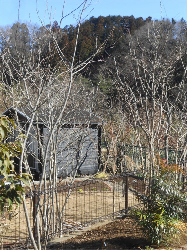 DSCN2360.jpg
