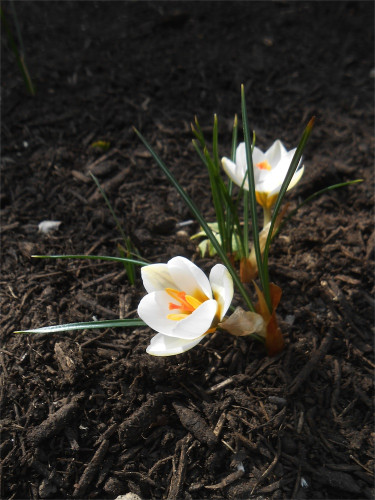 DSCN2354.jpg