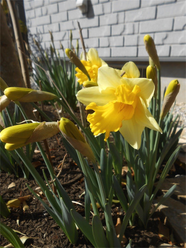 DSCN2372.jpg
