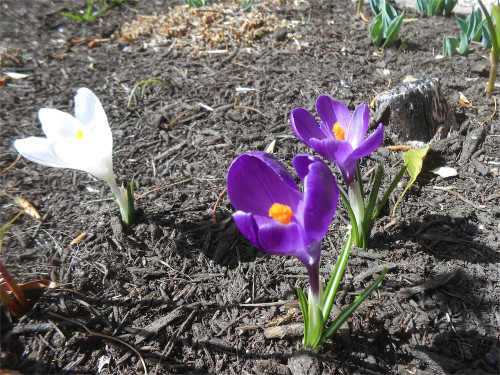 DSCN2374.jpg