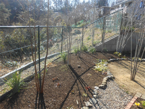DSCN2368.jpg