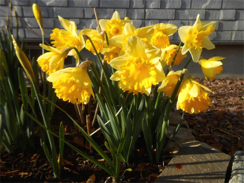 DSCN2377.jpg