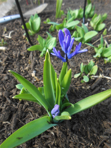 DSCN2386.jpg