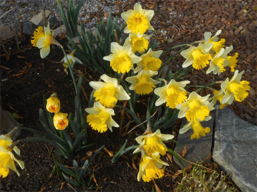 DSCN2392.jpg